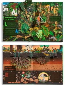 Pop-up*Ideaka Edelvives Pop-up Bosques