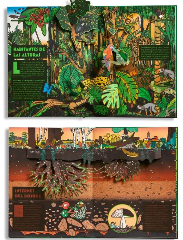 Pop-up*Ideaka Edelvives Pop-up Bosques