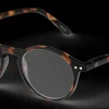 Accesorios De Lectura*Izipizi Reading D Tortoise 1.0