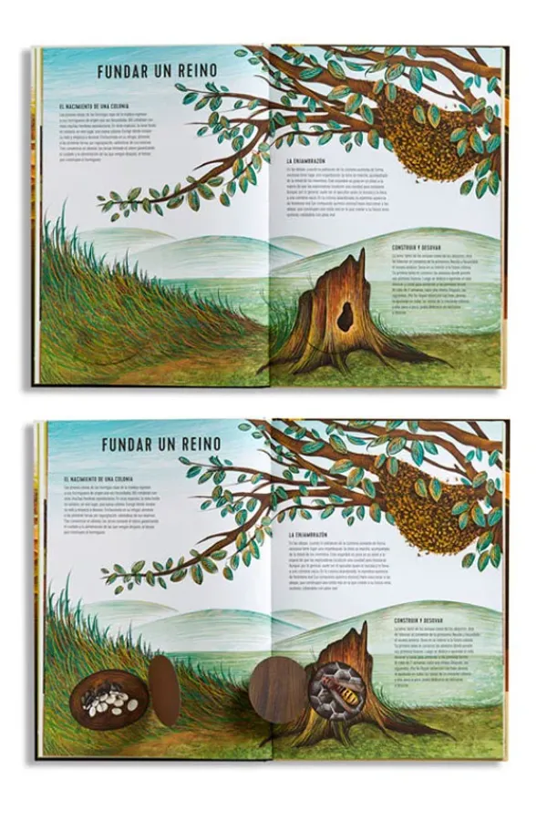 Animales Y Naturaleza*Edelvives Reinos minúsculos