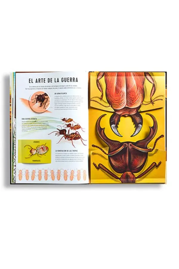 Animales Y Naturaleza*Edelvives Reinos minúsculos