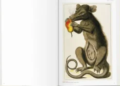 Arte*Taschen Seba. Cabinet of Natural Curiosities