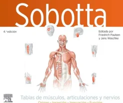 Ciencias De La Salud*Elsevier Sobotta. Tablas de músculos, articulaciones y nervios 4ª Ed.