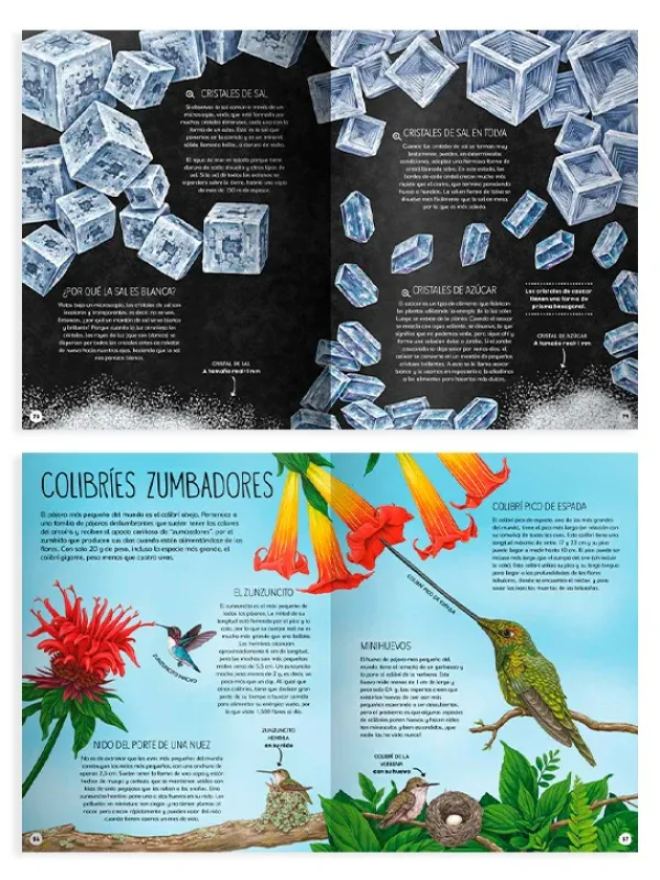Animales Y Naturaleza*Contrapunto Tamaño natural