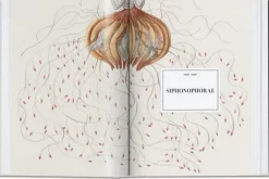 Arte*Taschen The Art and Science of Ernst Haeckel. 40th Ed.