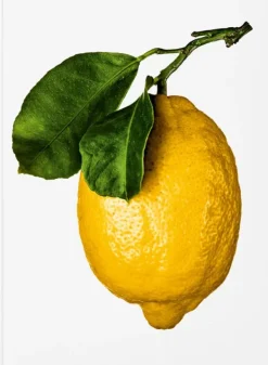 Recetas Y Técnicas Culinarias*Taschen The Gourmand's Lemon. A Collection of Stories and Recipes