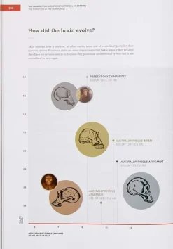 Cocinas Del Mundo*Phaidon The Origins Of Cooking: Paleolithic And Neolithic Cooking