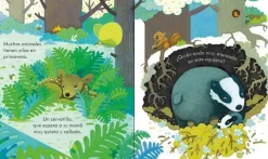 Animales Y Naturaleza*Usborne Un bosque