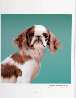 Fotografía*Taschen Walter Chandoha. Dogs. Photographs 1941-1991